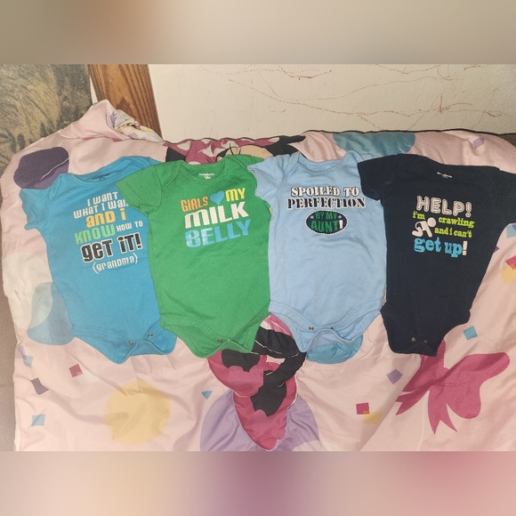 Garanimals Other - 12 Month Bundle